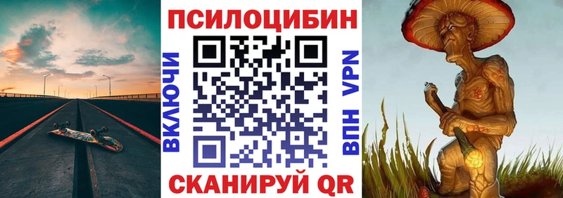 купить наркотики сайты  Отрадное  Псилоцибиновые грибы MAGIC MUSHROOMS 