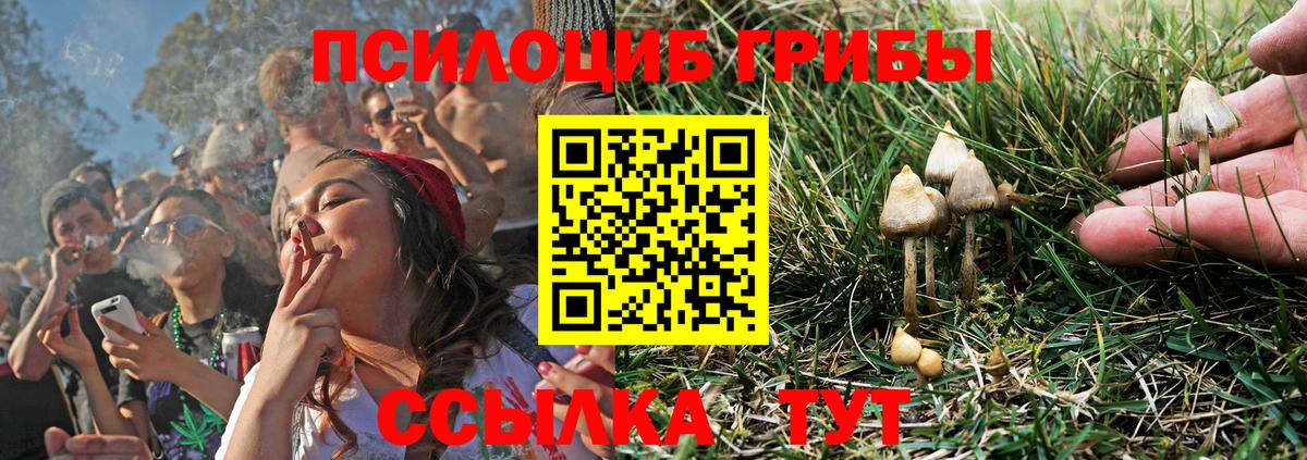 Галлюциногенные грибы MAGIC MUSHROOMS Отрадное